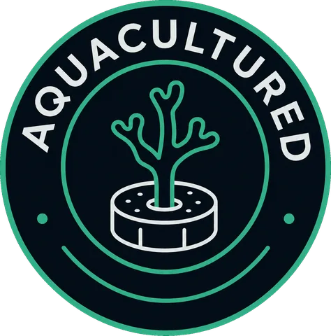 Aquacultured